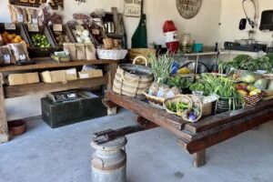 Bodega Loya