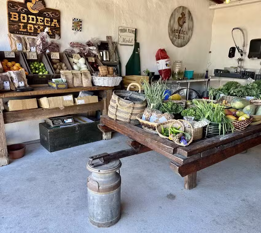Bodega Loya