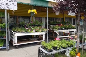 CALIFORNIA JUICE / JERRY’S NURSERY
