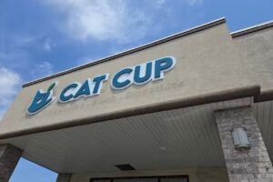 Cat Cup