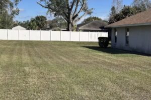 CITRUS BEVERAGE JUICES, INC.