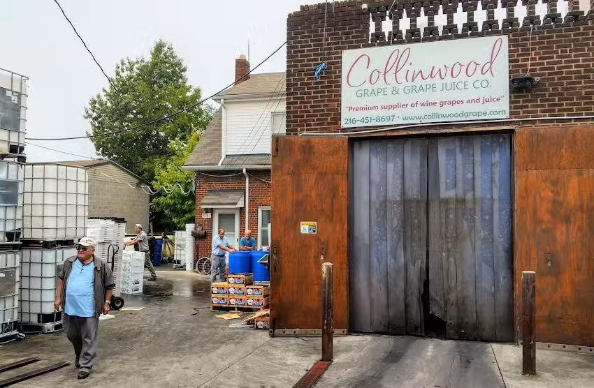 Collinwood Grape & Grape Juice