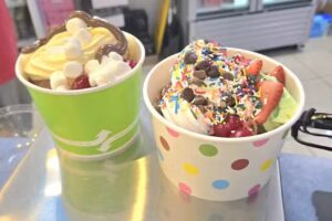 DiY Frozen Yogurt and Sip Station