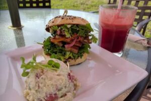 Earth’s Harvest Kitchen & Juicery