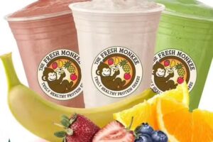 Fresh Monkee – Boston, MA
