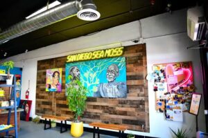 FuelThyCells SeaMoss & Fruit Juice Bar