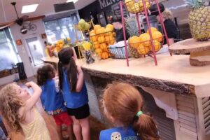 Juice Mill