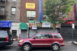 Natural Juices and Organic Food Inc