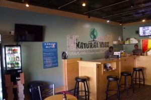 Natural Vybz Energy Bar
