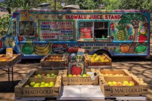 Olowalu Juice Stand