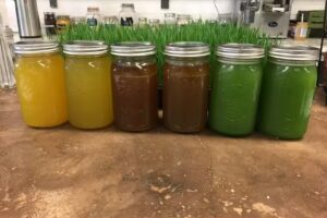 Organic Juice Barn