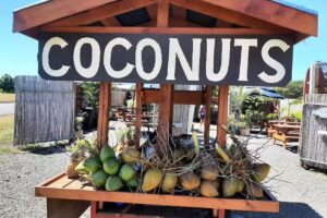 Pe’ahi Farm Stand Market- Coconuts. Sugar Cane Juice, Local Crafts