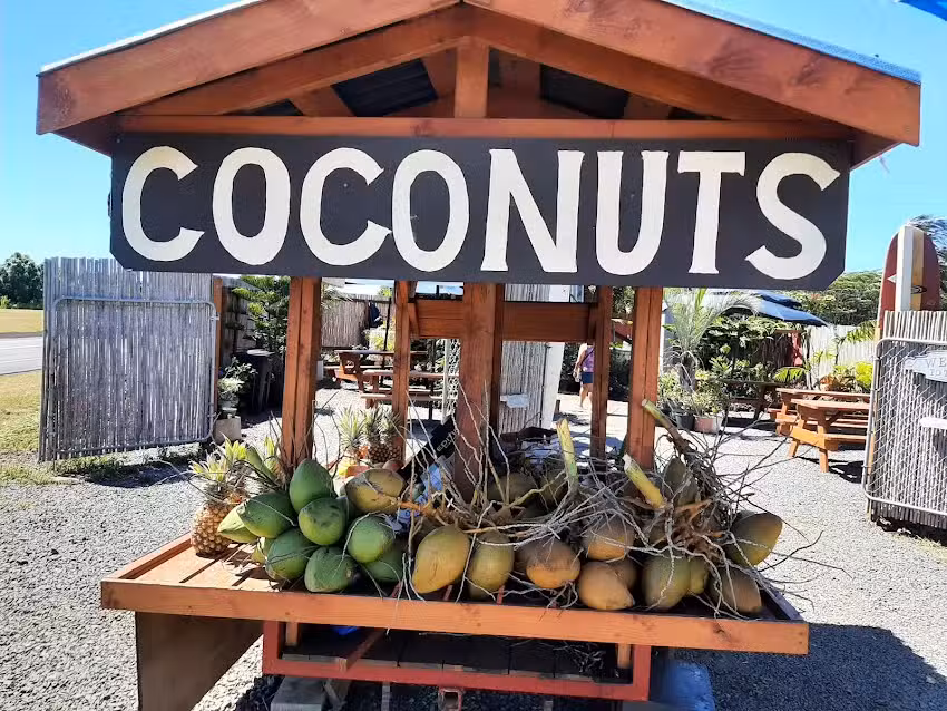 Pe&rsquo;ahi Farm Stand Market- Coconuts. Sugar Cane Juice, Local Crafts