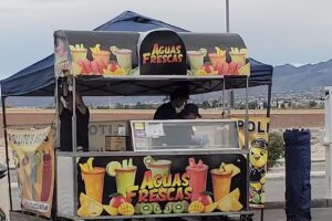 Pollitos Aguas