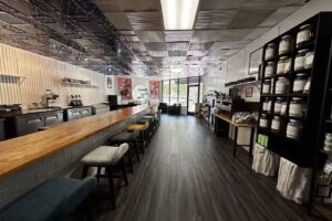 Rooted Wellness Market