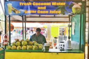 Scareng Coconut