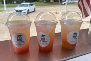 Schoolhouse Ice Pops & Lemonade