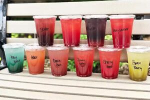 Shape’n It Up Nutrition