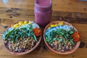 Songbird Juice Co.