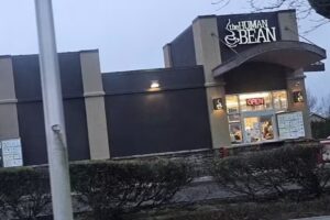 The Human Bean