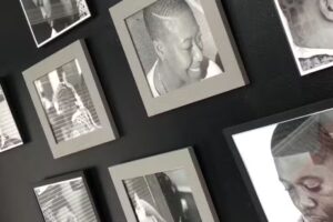 The Juice Grooming Suite