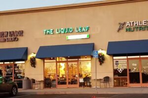 The Liquid Leaf