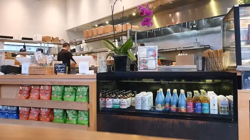 The Plant Cafe Organic