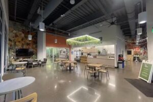 The Square – Ike At The Y