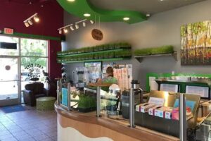 Tree City Juice and Smoothie Cafe