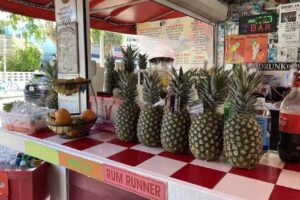 Tropical Juices & Drinks