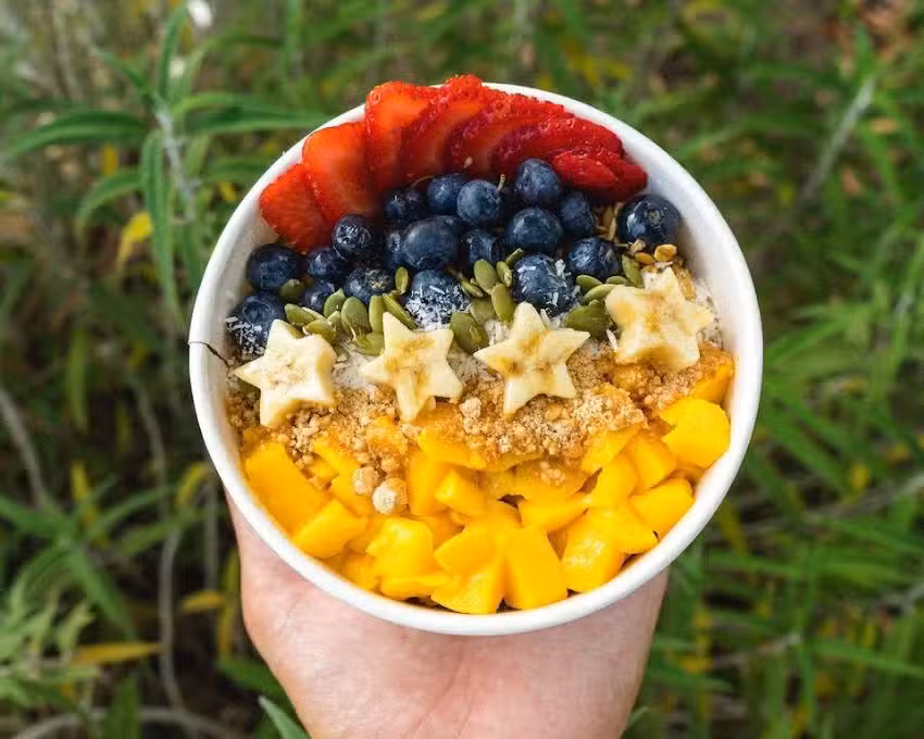 Ubatuba A&ccedil;a&iacute; &ndash; Burbank