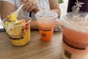 Wow Wow Hawaiian Lemonade – Greenhouse
